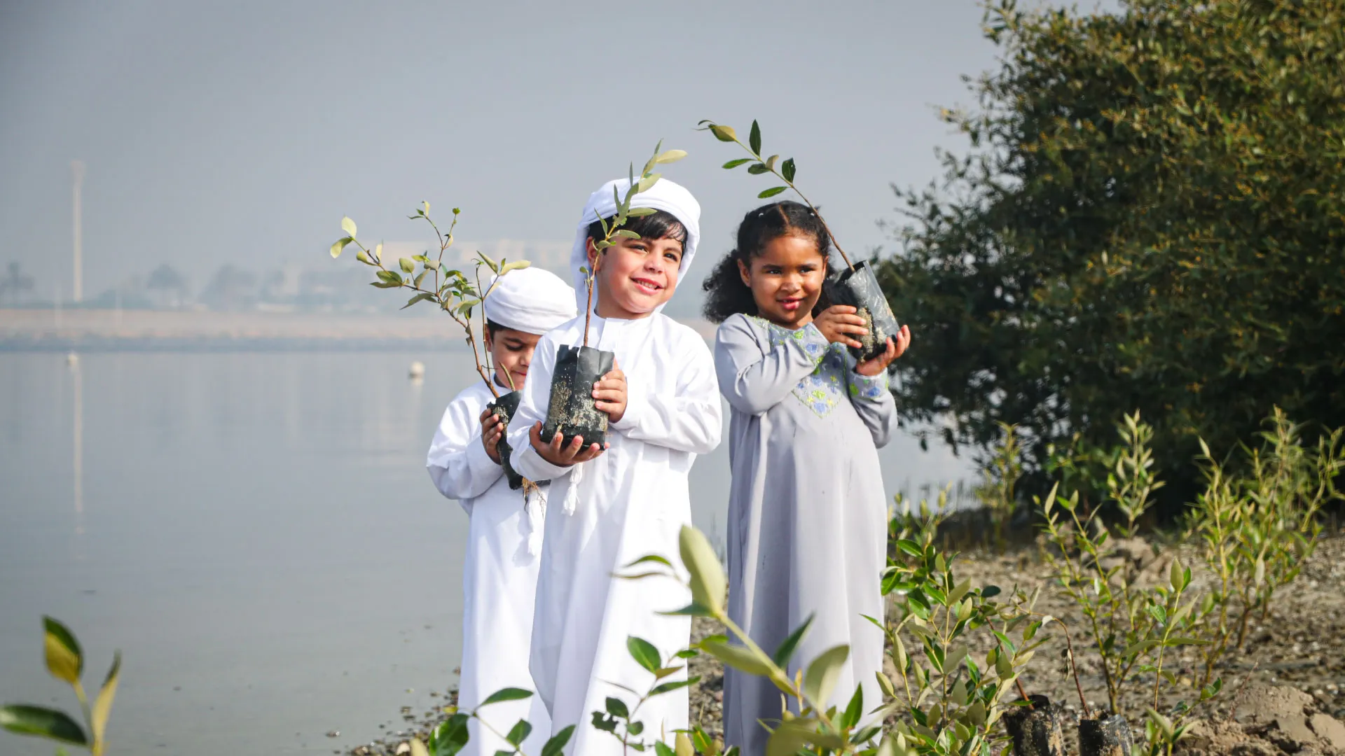 ازرع الإمارات